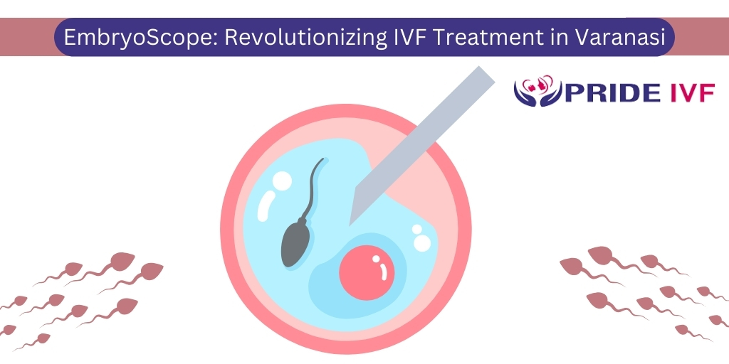 Read more about the article EmbryoScope: Revolutionizing IVF Treatment in Varanasi