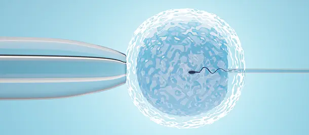 Embryoscope IVF Treatment